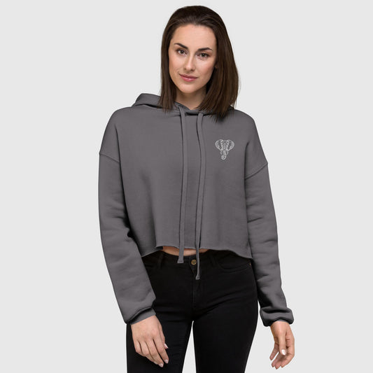 IVNS Crop Hoodie